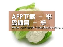 产品名称九