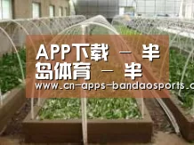 环境展示五