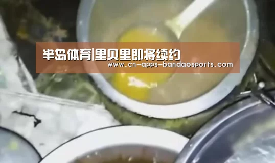半岛体育官网
