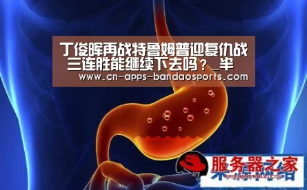 半岛体育