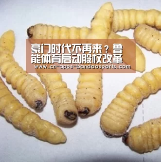 半岛体育娱乐