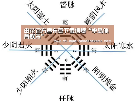 申花官方宣布签下金信煜“半岛体育娱乐”(图2) 半岛体育